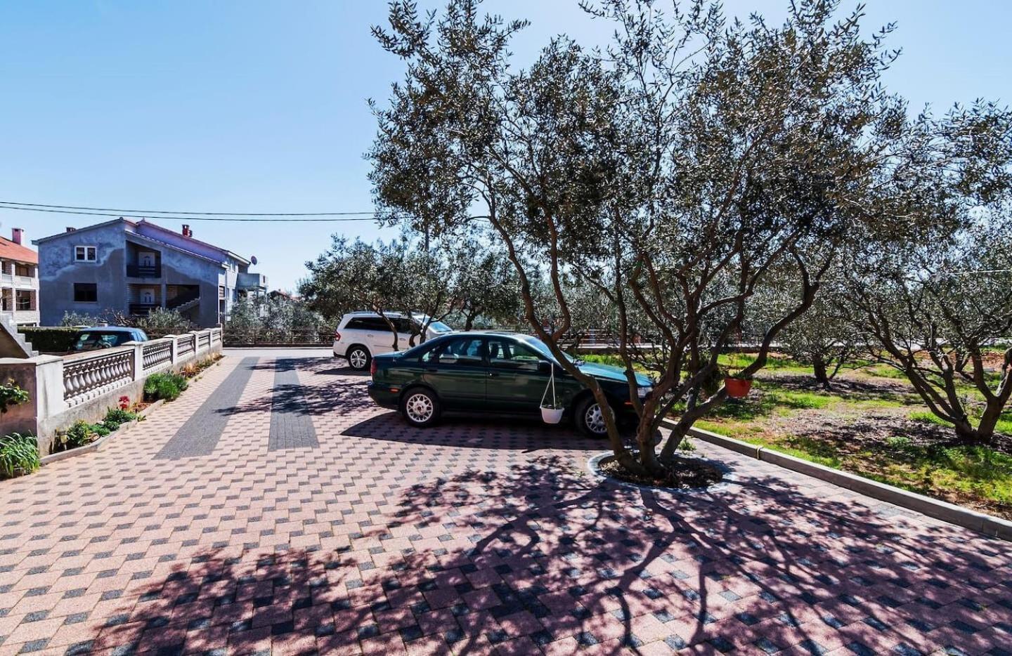 Apartments Brane - Free Parking Zadar Eksteriør bilde